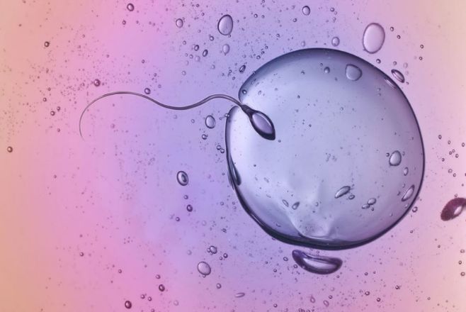 Diversity and inclusion in fertility nursing