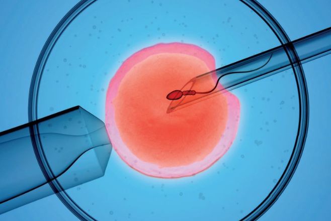 Fertility care and fertility nursing