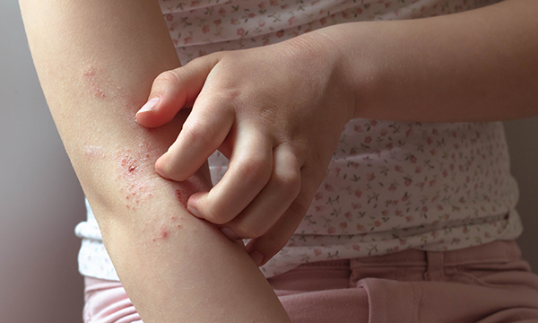 understanding the immune system