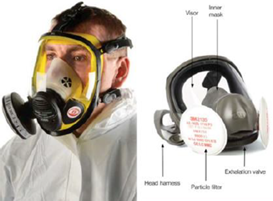 A photograph of a person wearing a reusable full face mask
