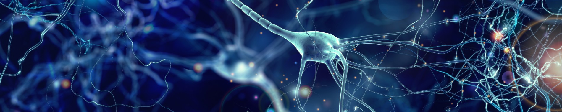 UK KSF for Pain and Palliative Care Nerves and cells