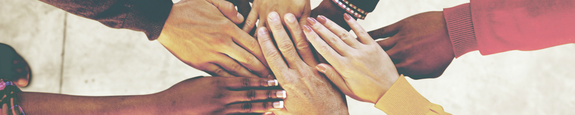 Inclusion