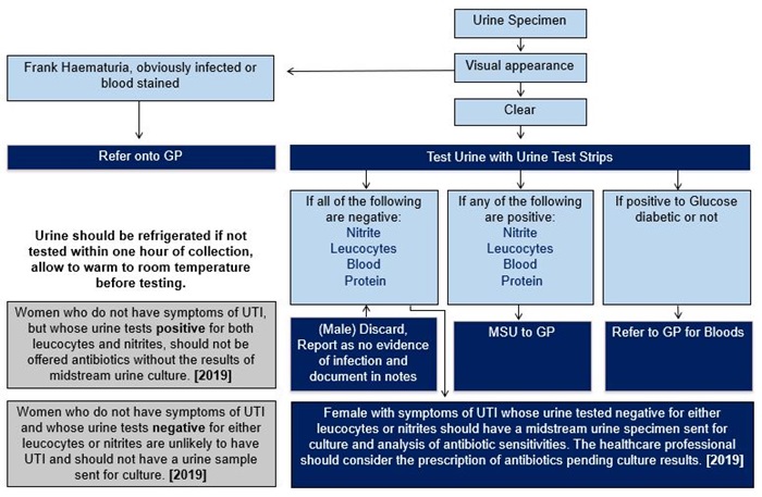 Urinalysis for a continence assessment