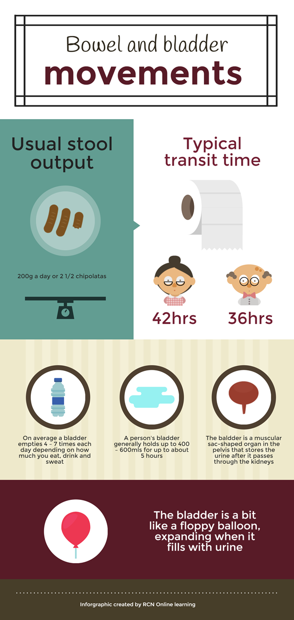 Bowel and bladder movements