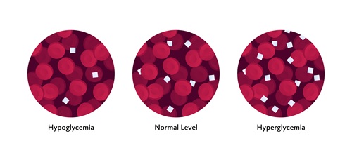 Red blood cell and glucose