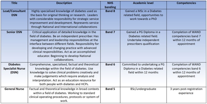 Diabetes professionals roles and responsibilities table
