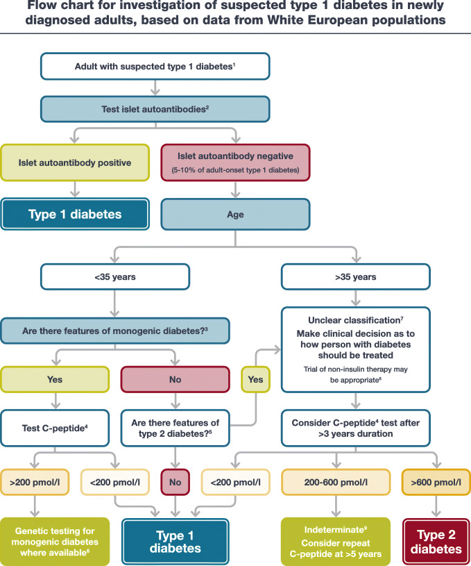 Suspected Diabetes Type 1 flowchart