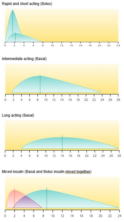 Insulin graphs