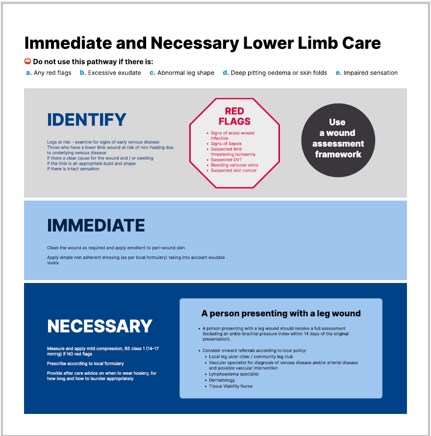 Lower Limb Care Flowchart graphic