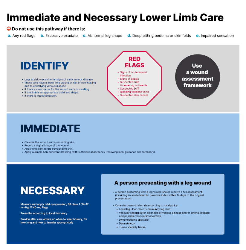 Diagram showing a pathway for Lower Limb Care