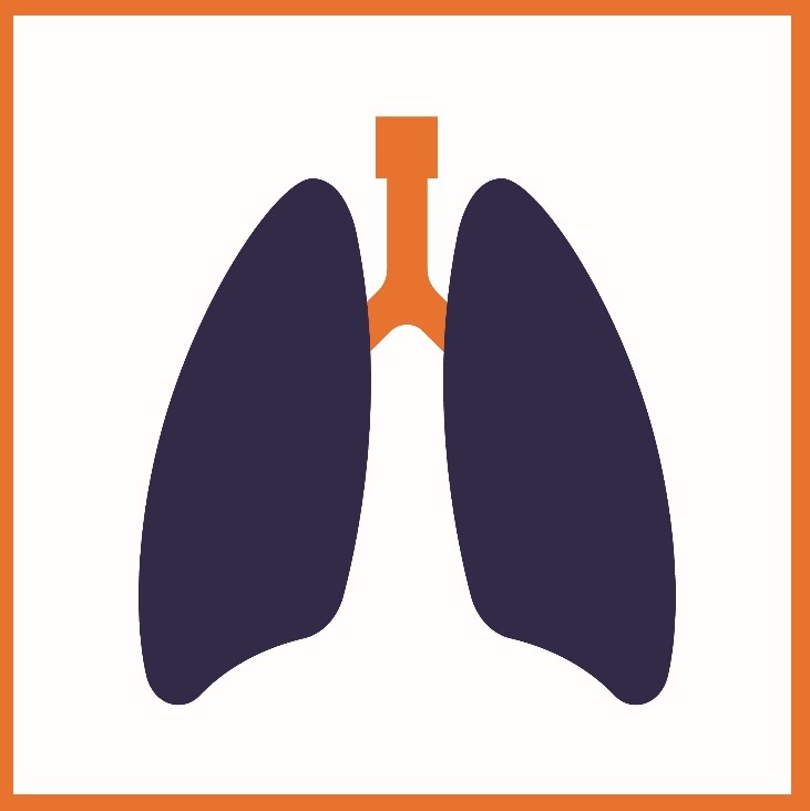 Graphic of pair of lungs