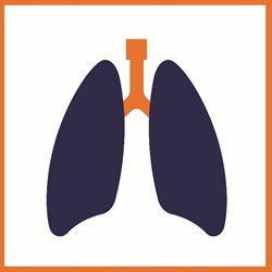 Graphic of pair of lungs