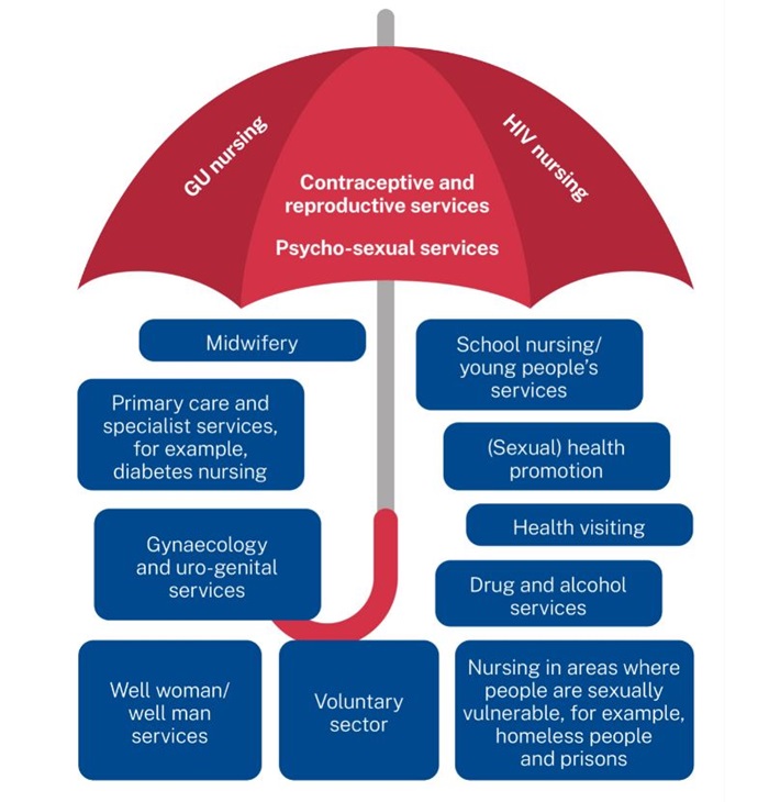 Sexual Health Strategy 