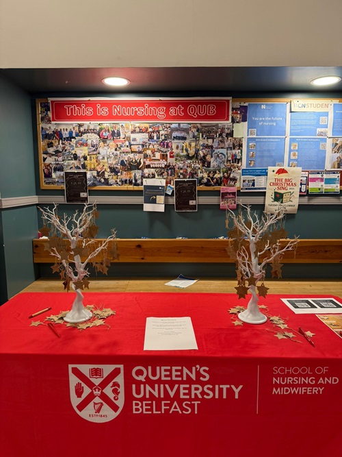 Conference stand at Queens University Belfast