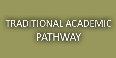 Traditional academic pathway