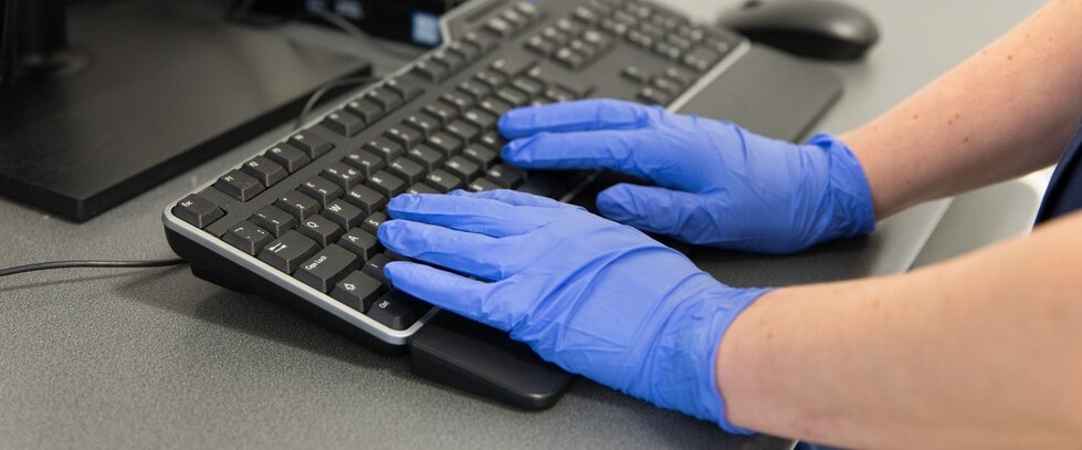 Hands typing Hands typing