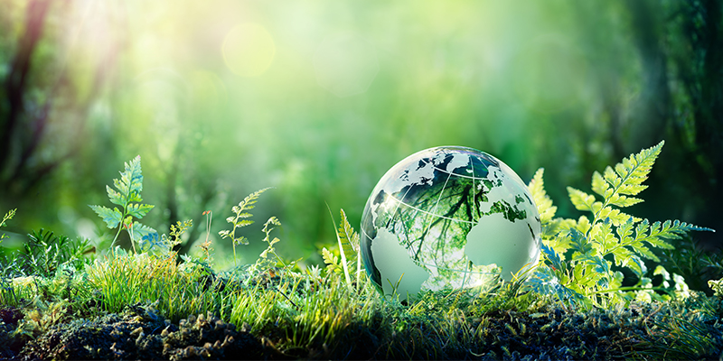 Globe with a green background