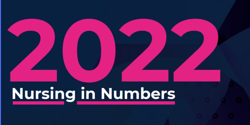 Nursing in Numbers 2022