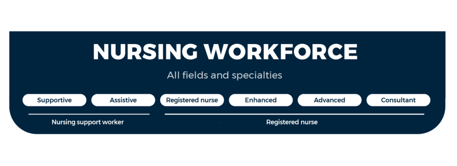 The nursing workforce includes four fields of nursing: registered, enhanced, advanced, and consultant. It also includes both supportive and assistive nursing support workers.