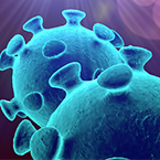 COVID campaigning sucess 145 x 145 Artist impression of coronavirus particle