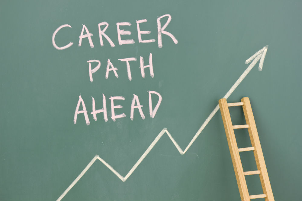 text on board saying career path ahead