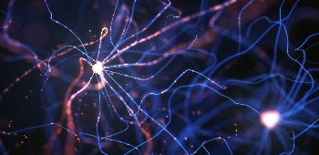 Pain and palliative care KSF nerve pain Nerves