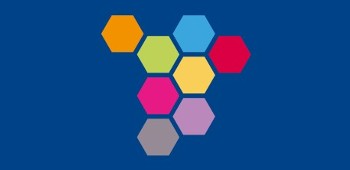 prof-services-350