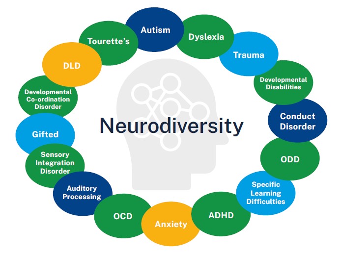 A diagram shows different neurodivergent conditions in a circle around a human head in profile. 