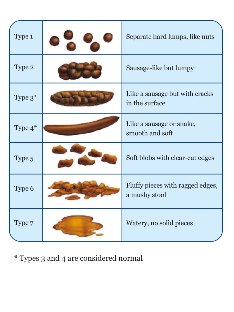 Bristol Stool Chart - Nursing Essentials | RCN Starting Out