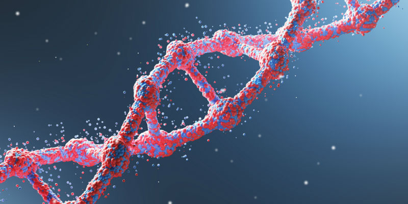 DNA structure