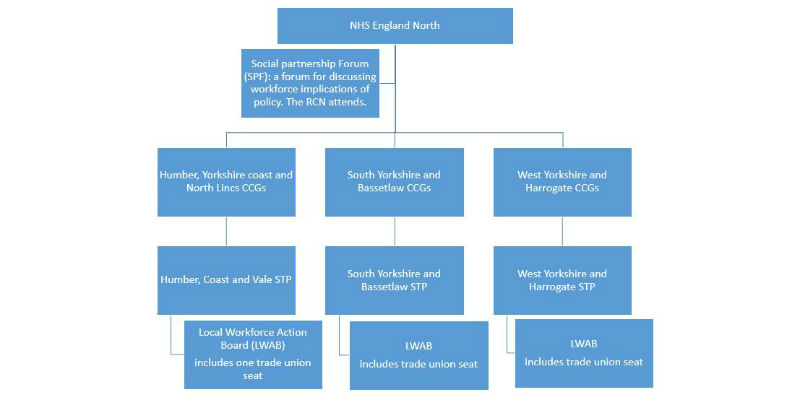 Diagram showing regional NHS hierarchy
