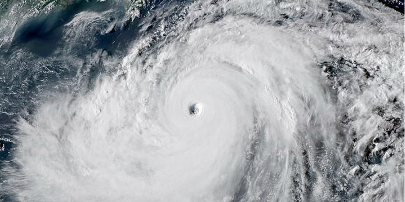 Librariansip in the eye of the storm