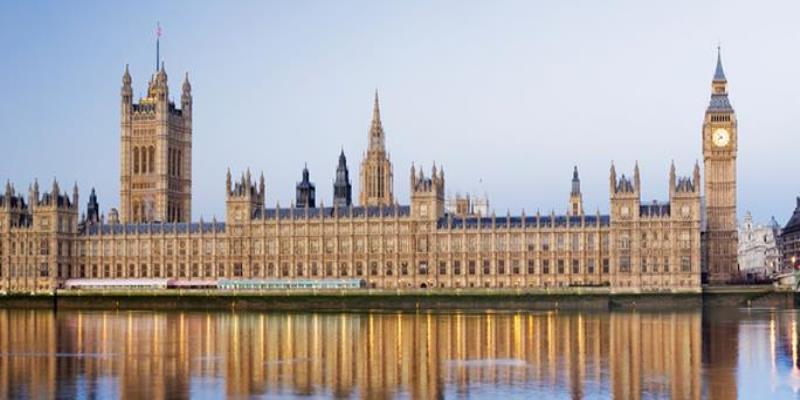 RCN parliamentary work