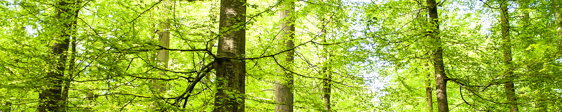Greening the workplace
