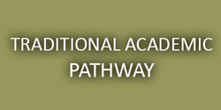 Traditional academic pathway