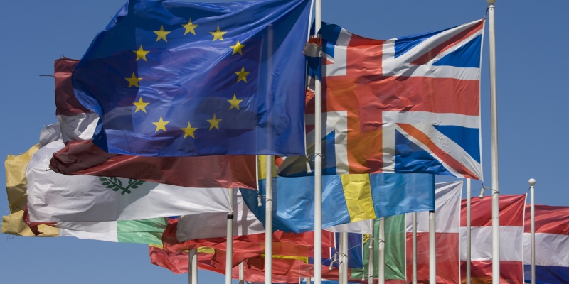 EU flags