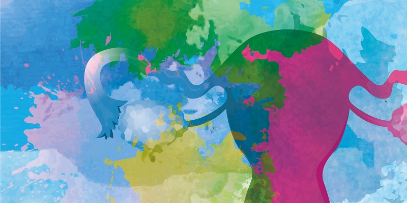 Graphic from RCN's wandering womb exhibition