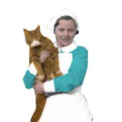 Nurse With Cat