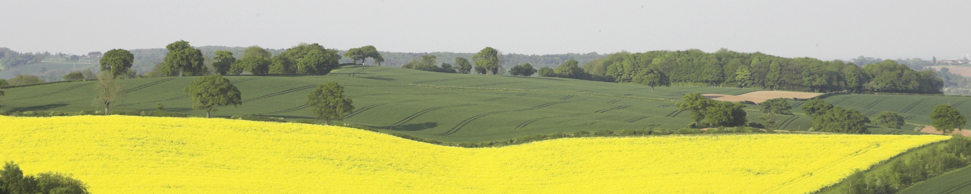 North Nottinghamshire