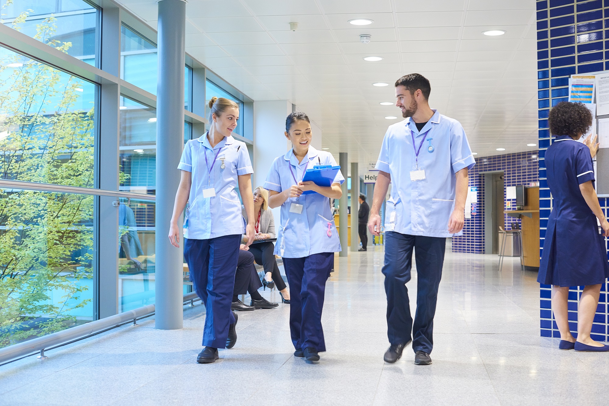 Renew your membership with the rcn royal college of nursing