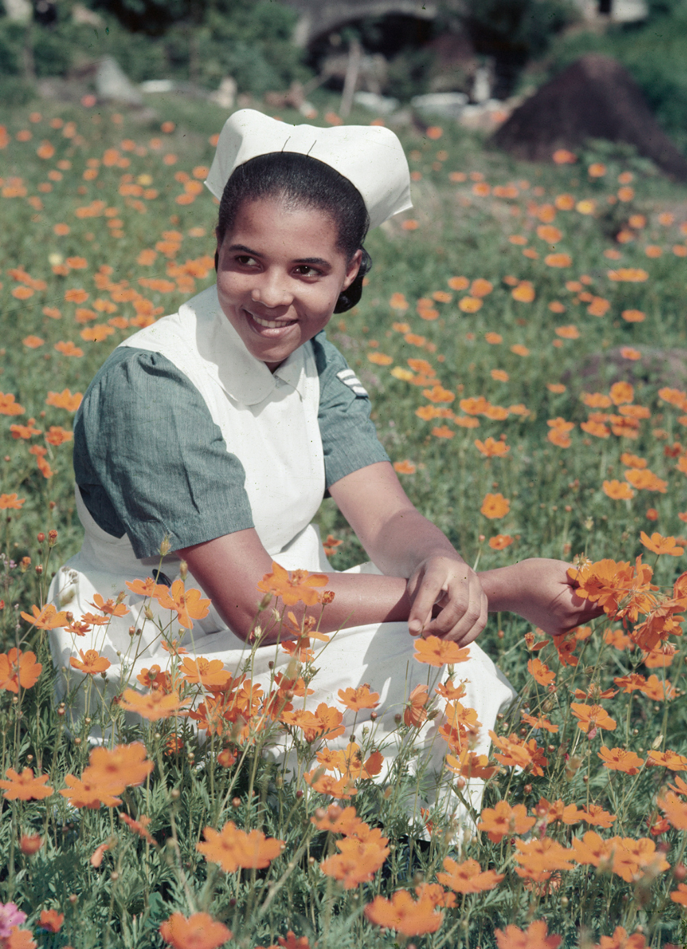 A Grenadian nurse, Elsie Sandy, sitting in a field picking yellow cosmos flowers. In the background, some buildings are partially visible, as well as a bridge and large, grass-covered hills. Nurse Sandy is dress in her uniform, including green short-sleeved dress, white apron and white cap; she is looking to the left of the camera and smiling.