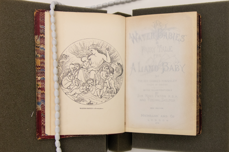 Florence Nightingale's copy of The Water Babies by Charles Kingsley, 1872.