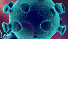 Coronovirus image
