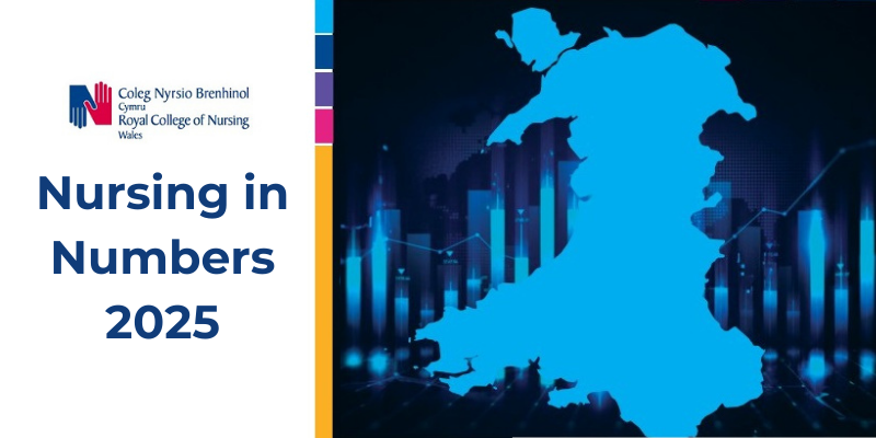 Nursing in Numbers 2025