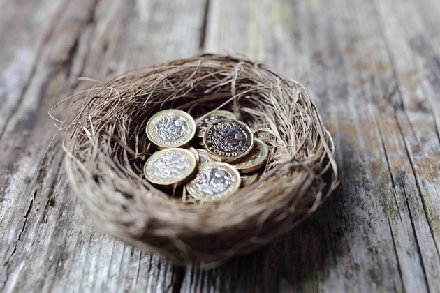 A nest with pound coins in it