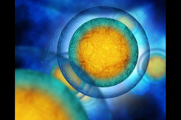 Egg cells flowing in a blue background