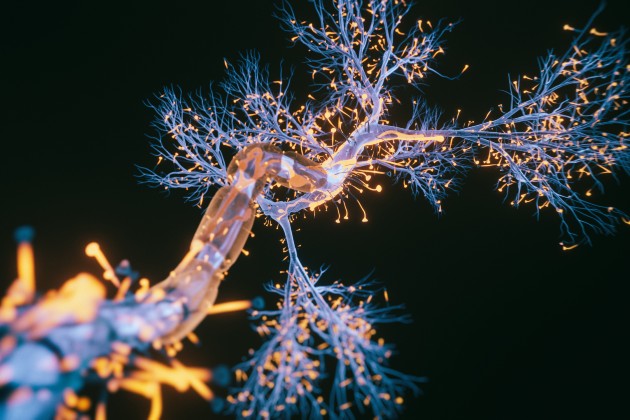 Motor neurone disease