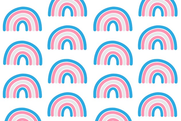 Illustration shows repeating pattern of rainbows in the colours of the trans pride flag (blue, white and pink)