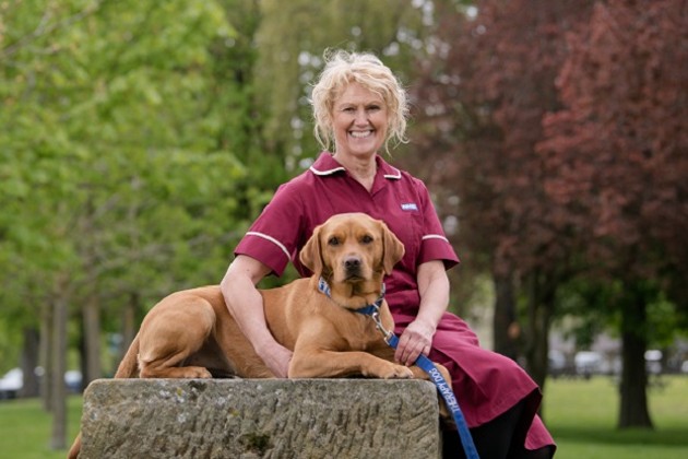 Service dogs for dementia hot sale patients