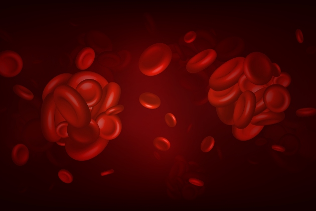 Illustration shows red blood cells inside a vein or artery, including two blood clots where the cells have grouped together
